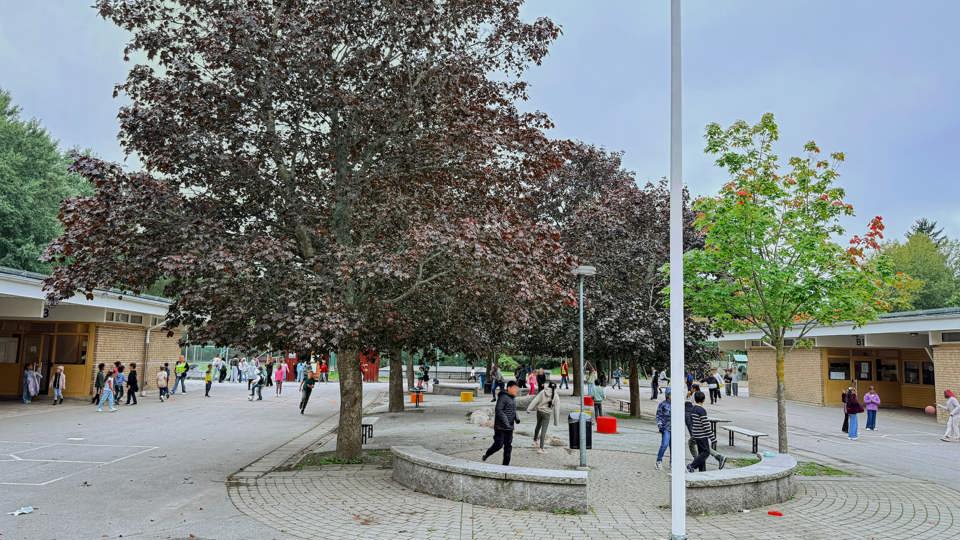 Barn leker och går omkring på en skolgård mellan träd och byggnader.