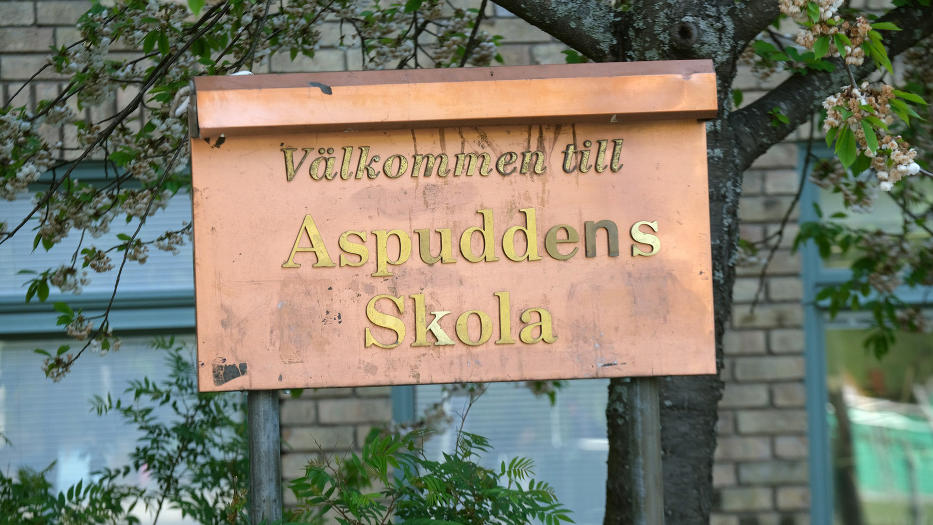 Öppet Hus Inför Att Söka Förskoleklass På Aspuddens Skola - Stockholms Stad